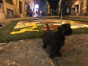 Photo de Ernesto