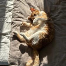 Photo de Suzette
