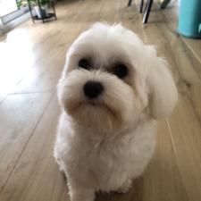 Photo de Wendy