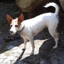 Photo de Samba