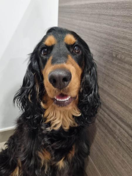 Lucie
