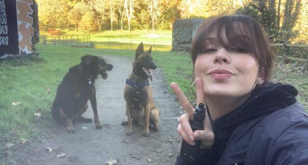 Elisa