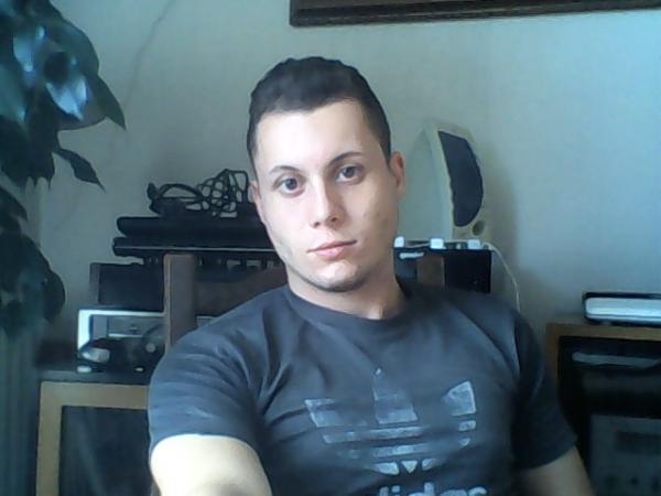 david
