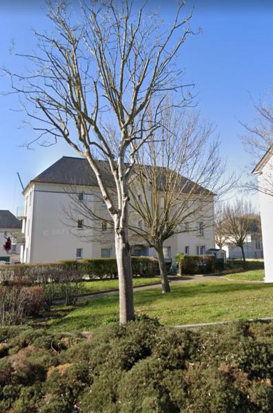 pascale