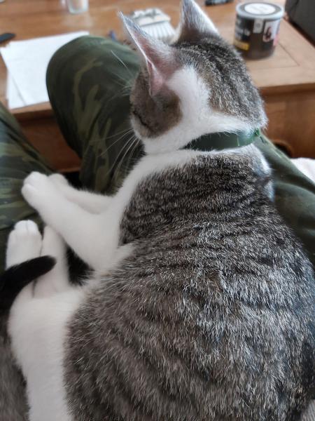 Max