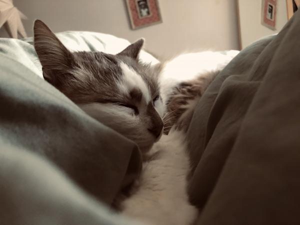 Emilie