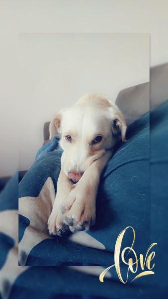 Lucie