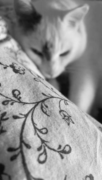 Juliette