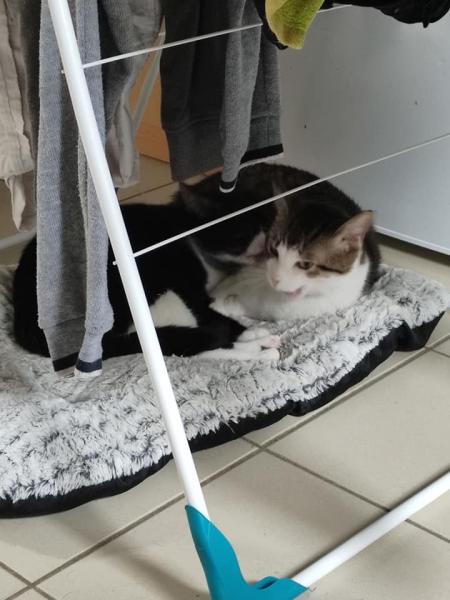 Lucie