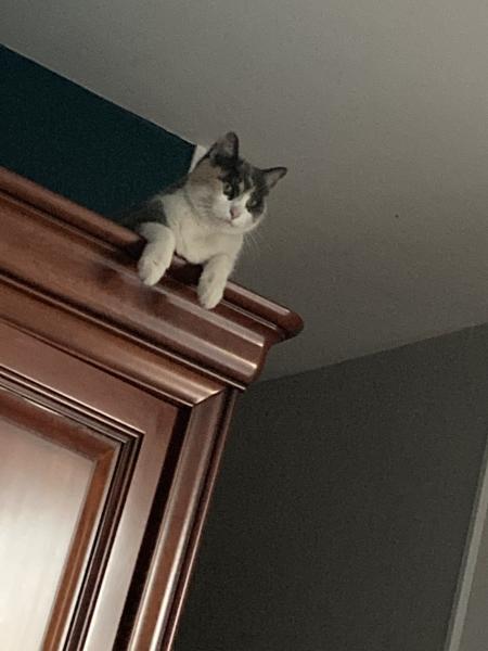 Sophie