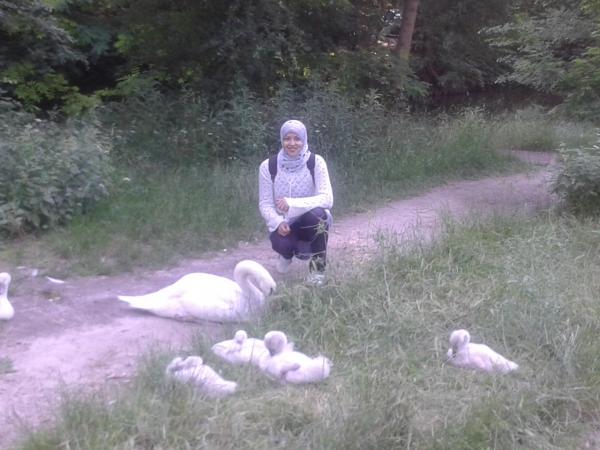 rim