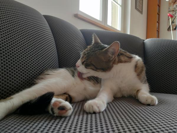 Clara