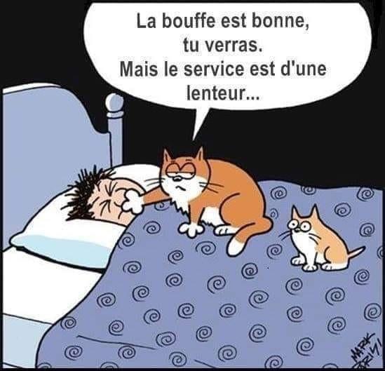 catherine