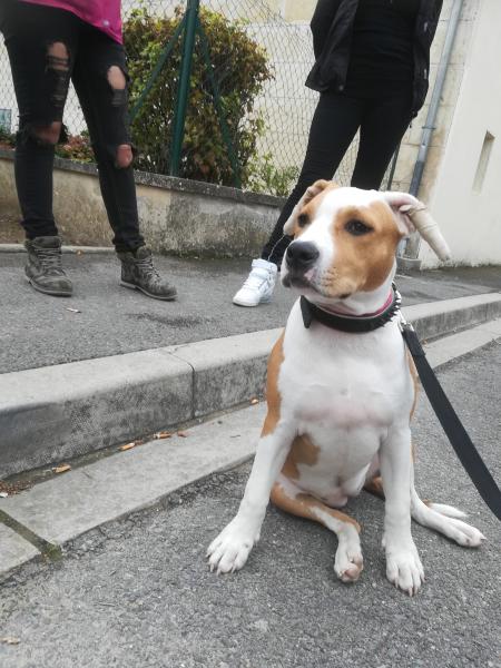 Aurelie