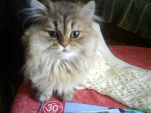 Annick