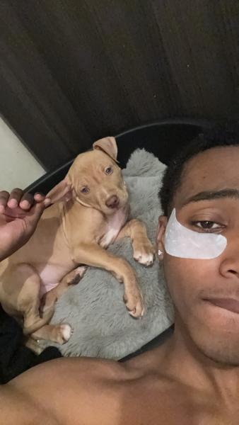 Daoud