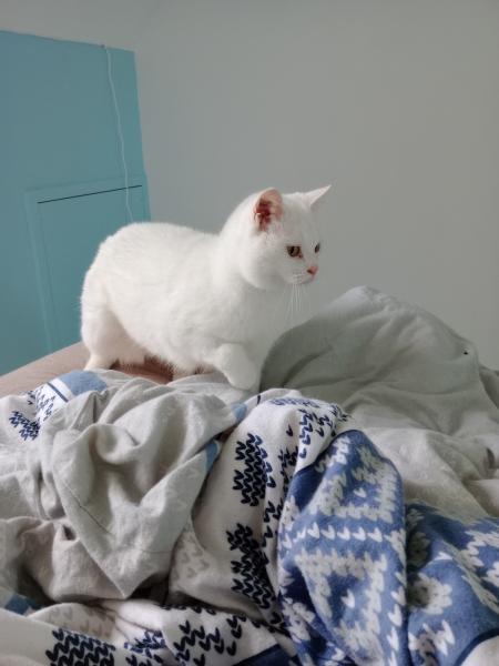 Lucie