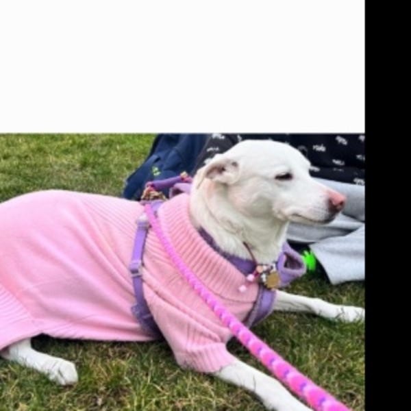 Katie
