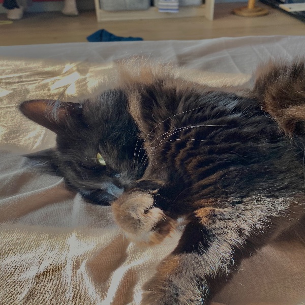 Hugo