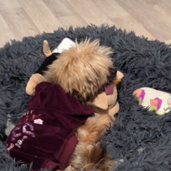 Sandra