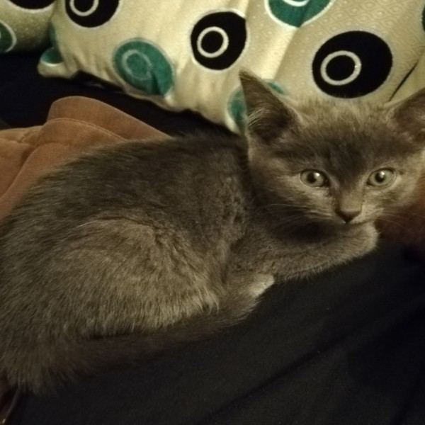 Sophie