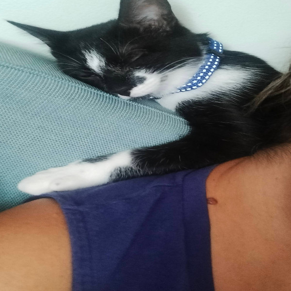 Émilie