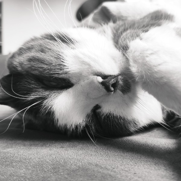Franck