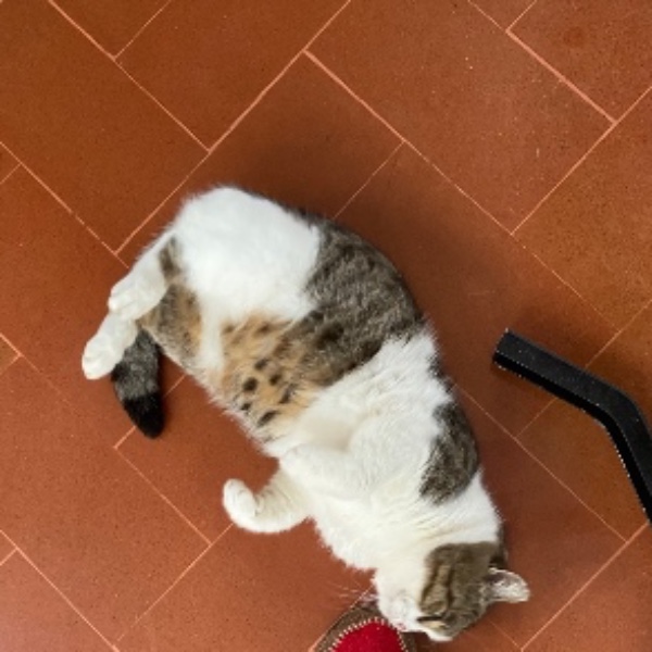 Luna