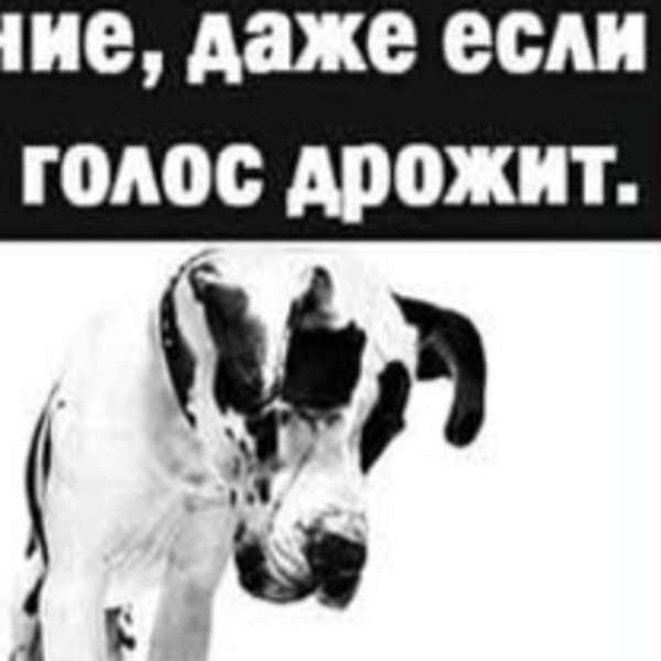Mihail