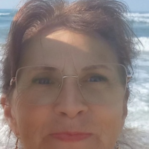 Mme Dominique GUINET
