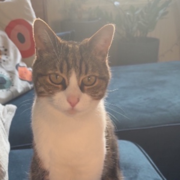Méline