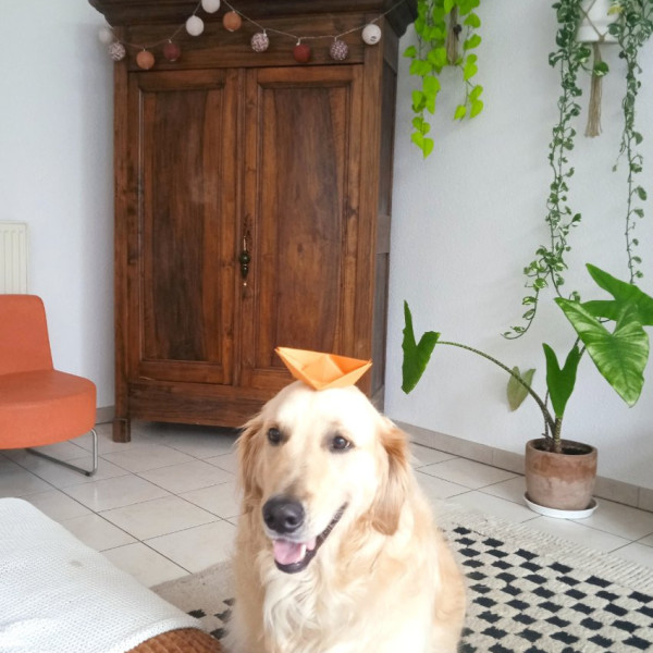 MIRTA