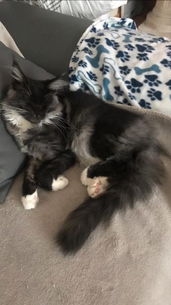 Chloé