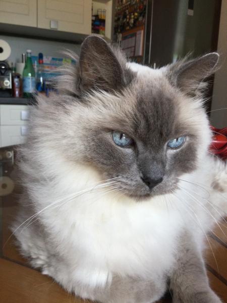 FRANÇOISE