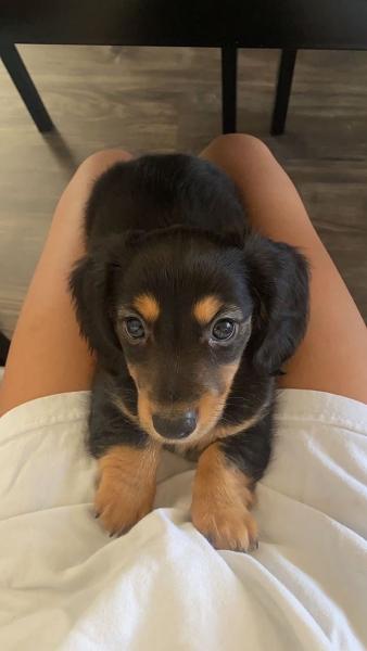 Naomie